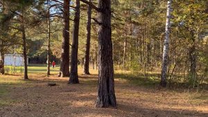 Очередной отдых в парке - часть 1