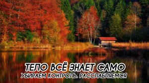 ТЕЛО ВСЁ ЗНАЕТ САМО, УБИРАЕМ КОНТРОЛЬ. РАССЛАБЛЯЕМСЯ
