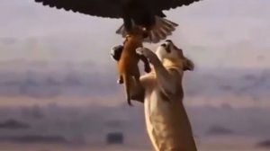 ИИ или реальность?