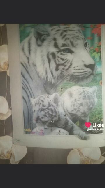 2025-10-01 смотреть онлайн