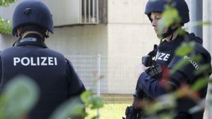 В Австрии девушка, не знавшая о беременности, родила и выкинула ребенка в окно