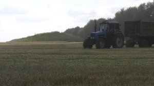 Хлеборобы Воронежской области намолотили более 5 миллионов тонн зерна