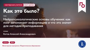 Нейропсихология обучения: как мозг запоминает информацию и что это значит для методик преподавания