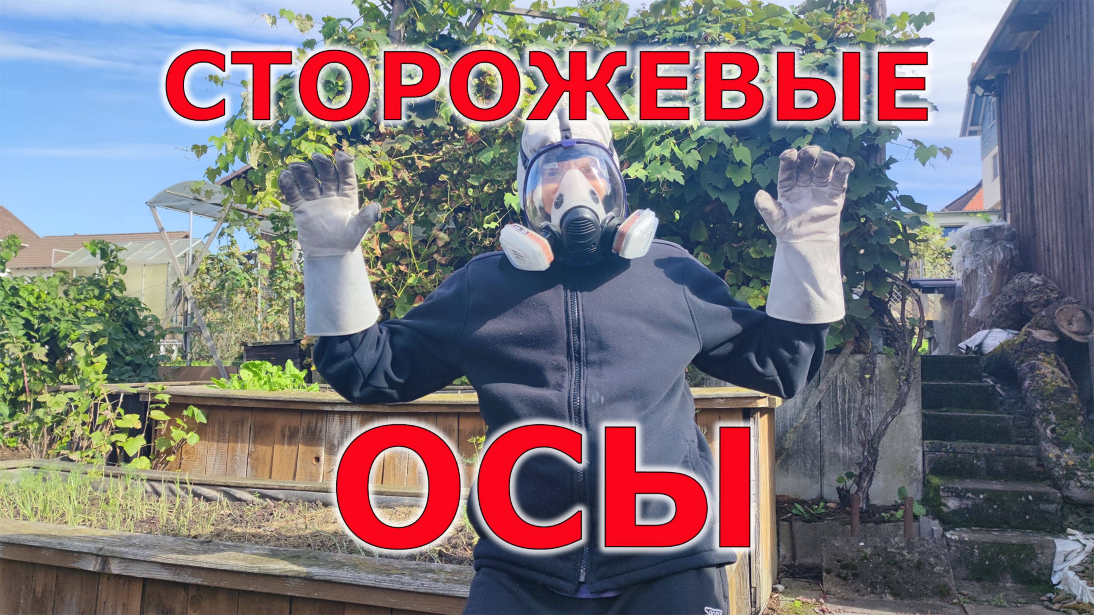 Лучшая охрана для дачи! Сторожевые осы