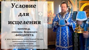 "Условие для исцеления". Епископ Венёвский Феодорит.