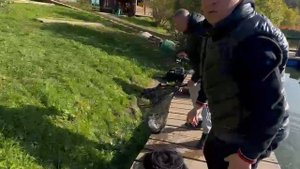 Белый маггот