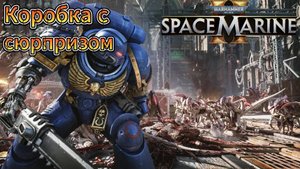 Коробка с сюрпризом_Warhammer 40,000: Space Marine II
