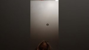 влог