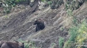 Ужин состоялся- мама поймала рыбу