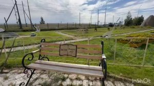 Школа. Цветы 2025г