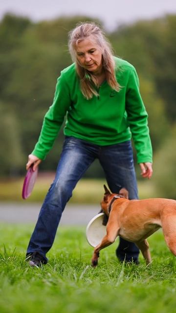 Спортивный Метис Прима - совместные, флип, дог-кетч