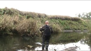 Силикон рулит