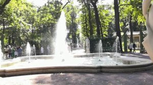 Летний сад