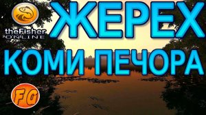 Жерех на Коми Верхняя Печора Россия. The Fisher Online