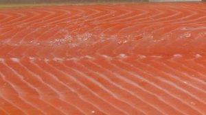 Лосось холодного копчения