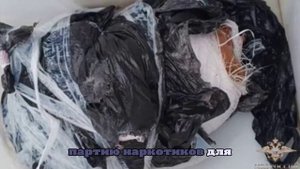 В Приморье у задержанных за убийство амурского тигра нашли почти 90 кг марихуаны