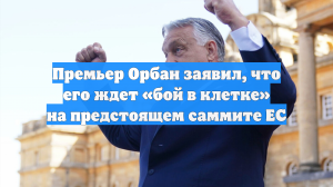 Премьер Орбан заявил, что его ждет «бой в клетке» на предстоящем саммите ЕС