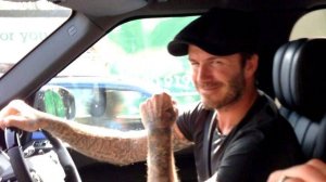 Китай. Город Макао. Прокатился в такси с Бекхэмом.