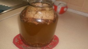 Квас из пшена