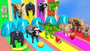 Преображение у фонтана с слоном, мамонтом, гориллой, тигром, буйволом и динозавром.