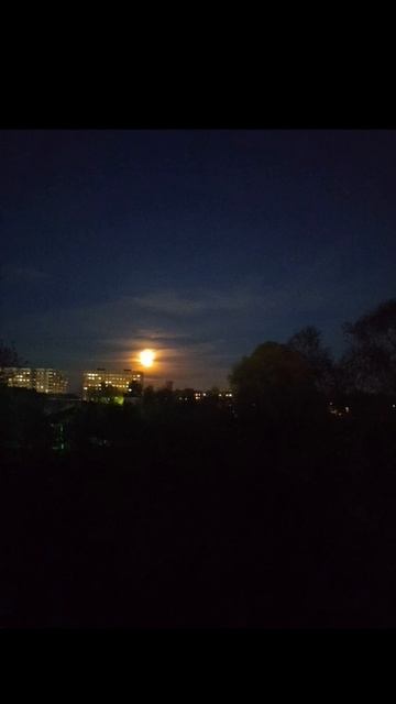 20250928_163819165.mp4