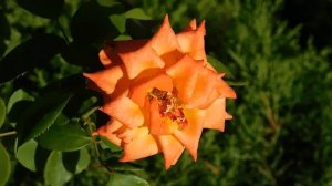 05=09=2025  Ю  КМР  (64)