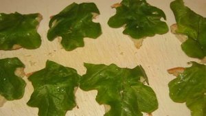 Канапе из красной рыбы