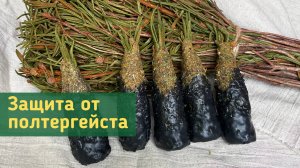 БАГУЛЬНИК БОЛОТНЫЙ от Астральных паразитов Полтергейста и Подселенцев из мира мёртвых.