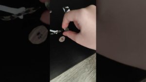 новая бумажная собака