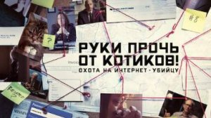 Руки прочь от котиков! Охота на интернет-убийцу — 2 серия