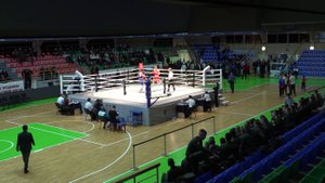 Мастерский всероссийский турнир по боксу стартовал в Новосибирске