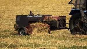 Ирина Ким стих Поля