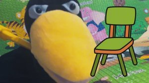 Вкусное и не вкусное с вороной Асей🌸🌸🌸