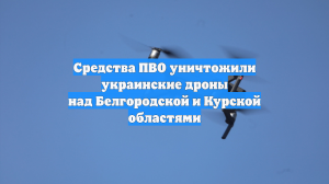 Средства ПВО уничтожили украинские дроны над Белгородской и Курской областями