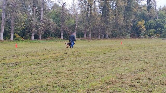 6.  выражено/пож НОТА ЛАЙФ МАРИЯ (Clown v. Arlett – Нота Лайф Жизель)