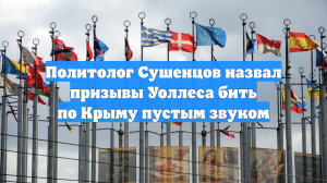 Политолог Сушенцов назвал призывы Уоллеса бить по Крыму пустым звуком