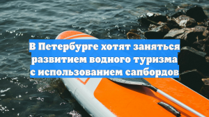 В Петербурге хотят заняться развитием водного туризма с использованием сапбордов