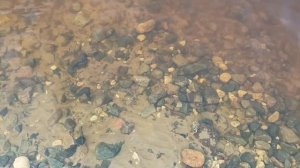 Плеск воды и успокаивающая музыка . Релакс .