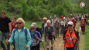 1 октября отмечается Международный День пожилых людей