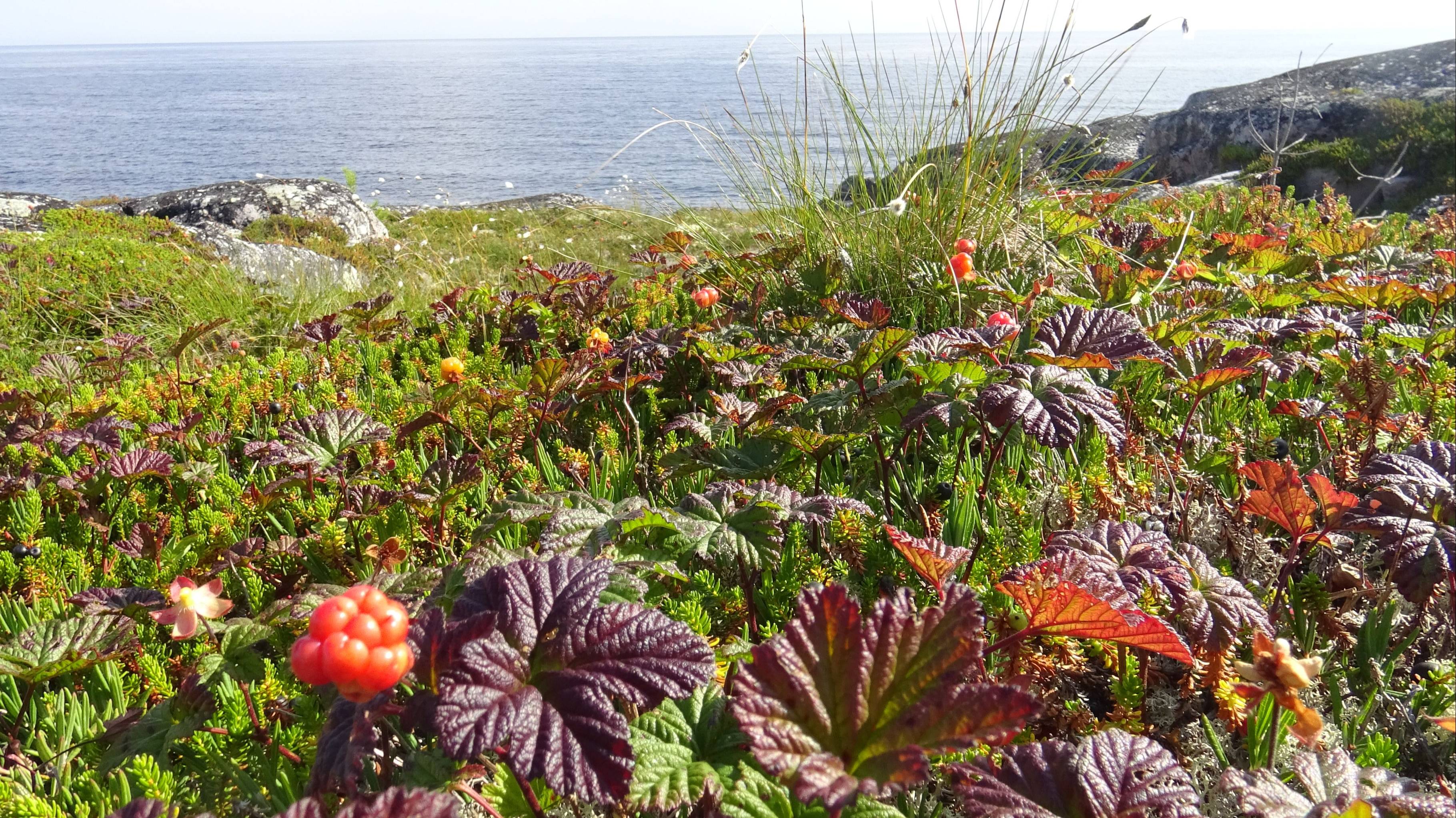 Белое море 2025 год.  часть 3 смотреть онлайн