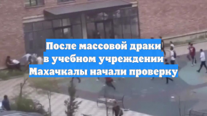После массовой драки в учебном учреждении Махачкалы начали проверку
