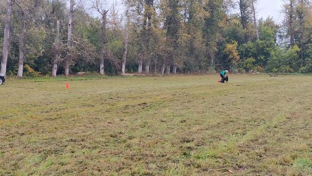 10.  выражено/перв НОЧНАЯ ВЕДЬМА ЭРИС СО СЛАВЯНСКОЙ ДУШОЙ (Team Larine*S Fakta – Марвил Юнион Уэлти)