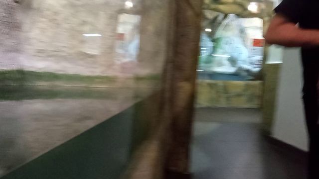В крокодиляриуме