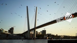 Отзыв о Промтрейдинвест: почему важно работать с надежным поставщиком сеток и сит