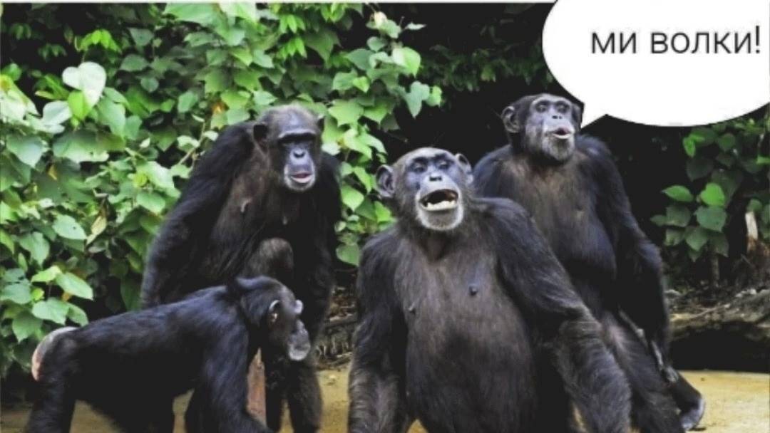 LoL Юбилейный стрим 35 стримеру