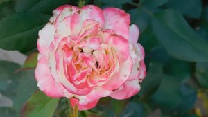 05=09=2025  Ю  КМР  (57)