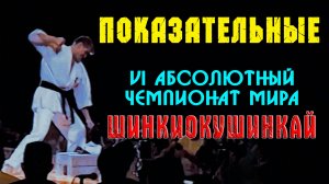 Киокусинкай.Показательные на VI Абсолютном Чемпионате мира по Шинкиокушинкай