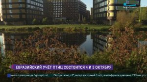 Акция научного волонтёрства «Евразийский учёт птиц»