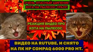 Реакция видео. Кот шипит, и боится на пылесос. (Кот боится на пылесоса, 2-4,1 часть видео)