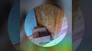 1000035962.mp4 (Собака наблюдает за устройством заземления газового оборудования в доме А-фрейм)